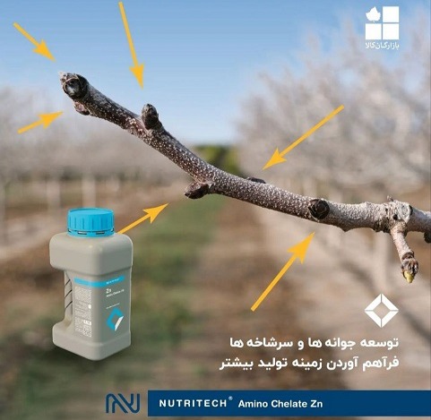 هرآنچه باید در خصوص آمینوکلاتها (کلسیم، آهن، روی، بر) و تفاوتشان با کودهای معمولی بدانید!